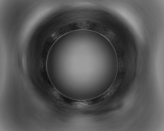 X0000088380765200705221053