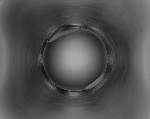 X0000088380766200705221053