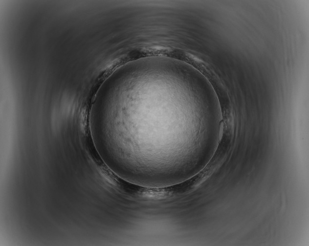 X0000088380767200705221053