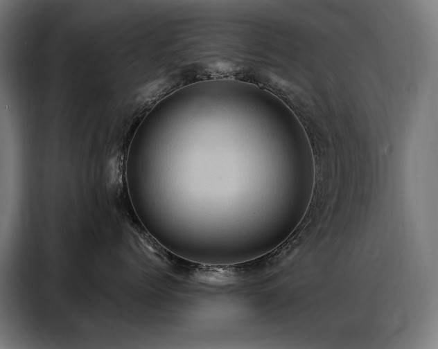 X0000088380768200705221053