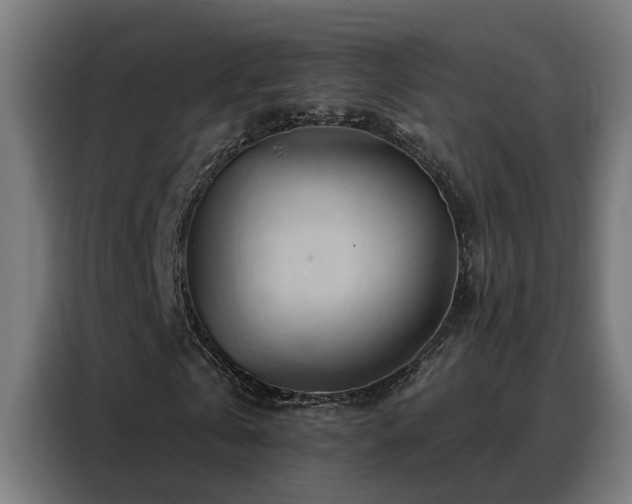 X0000088380769200705221053