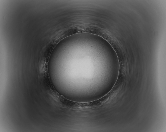 X0000088380770200705221053