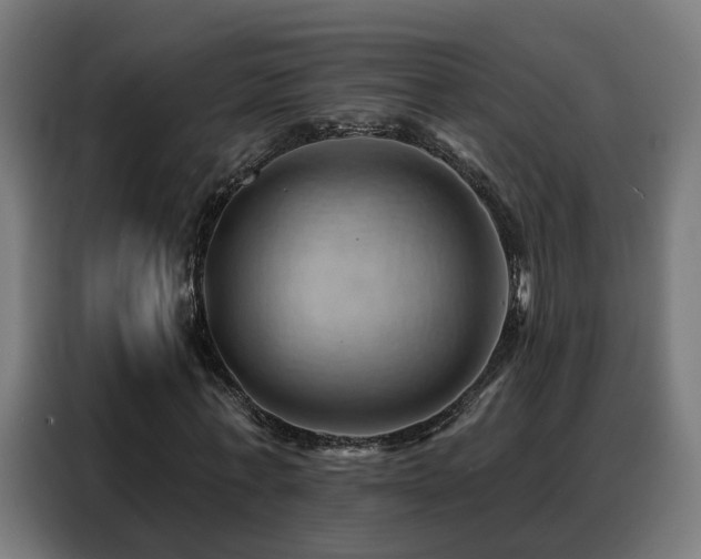 X0000088380771200705221053