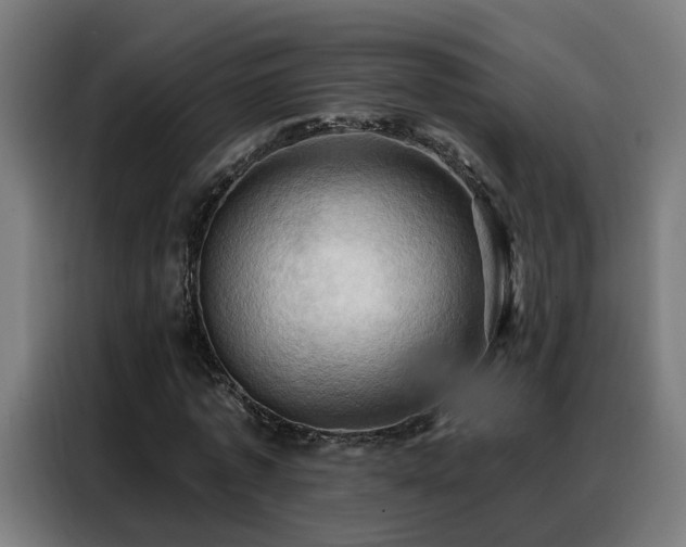 X0000088380773200705221053