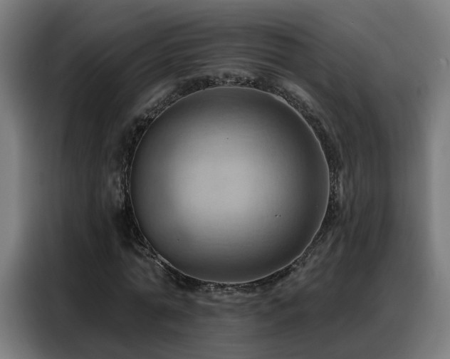 X0000088380774200705221053