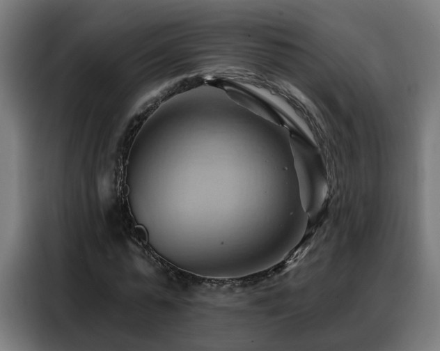 X0000088380775200705221053