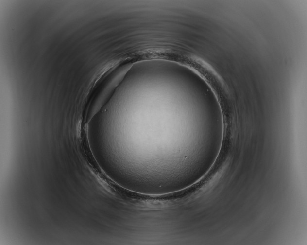 X0000088380777200705221053