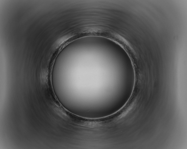 X0000088380778200705221053