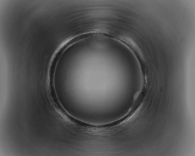 X0000088380780200705221053
