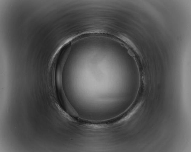 X0000088380781200705221053