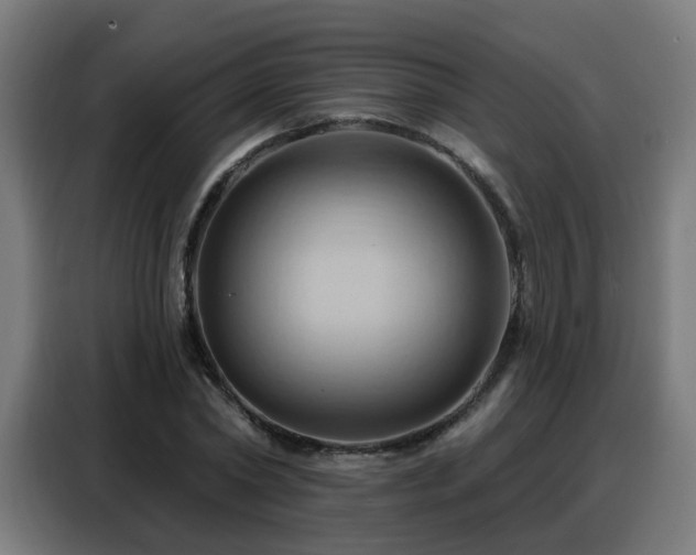 X0000088380782200705221052