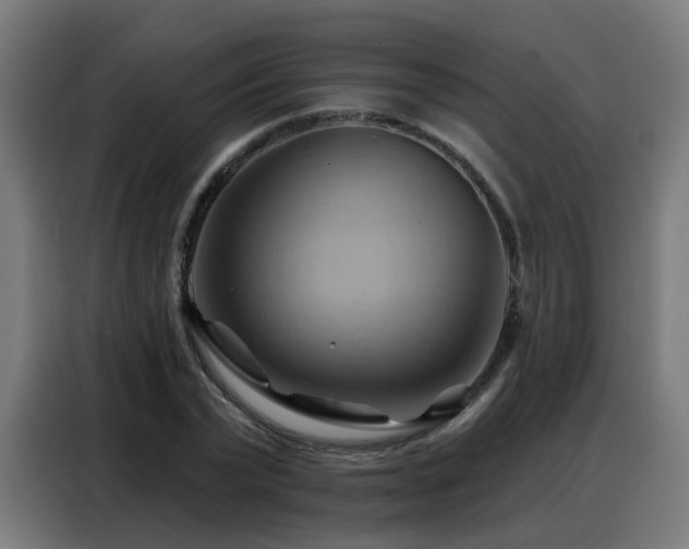 X0000088380783200705221052