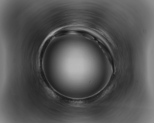 X0000088380784200705221052