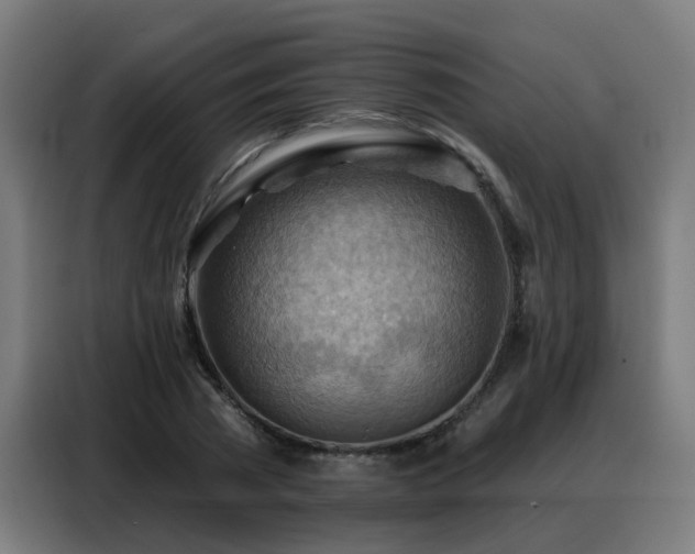 X0000088380785200705221052