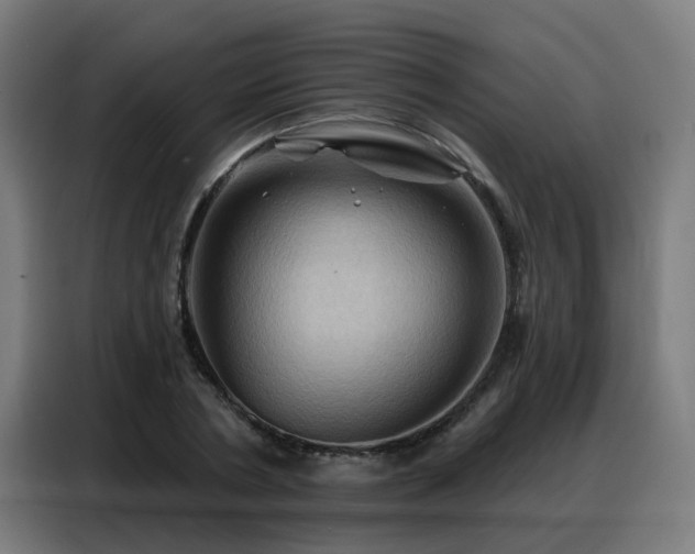 X0000088380786200705221052