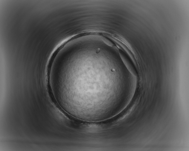 X0000088380787200705221052