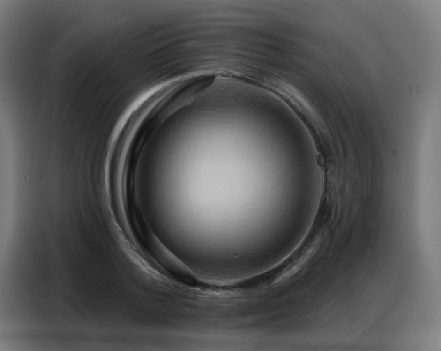X0000088380788200705221052