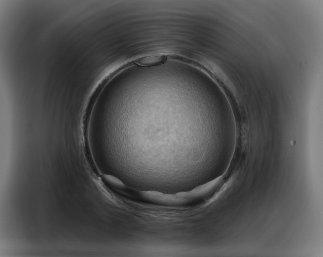 X0000088380789200705221052