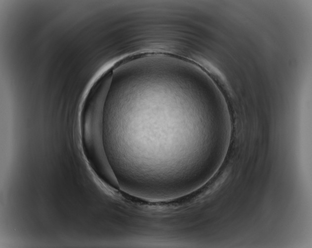 X0000088380792200705221052