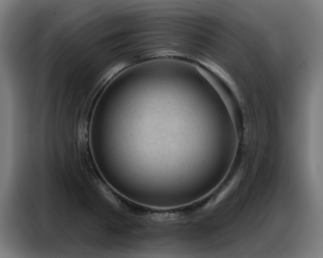 X0000088380793200705221052