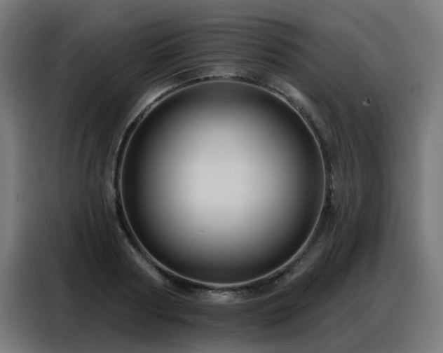 X0000088380794200705221052