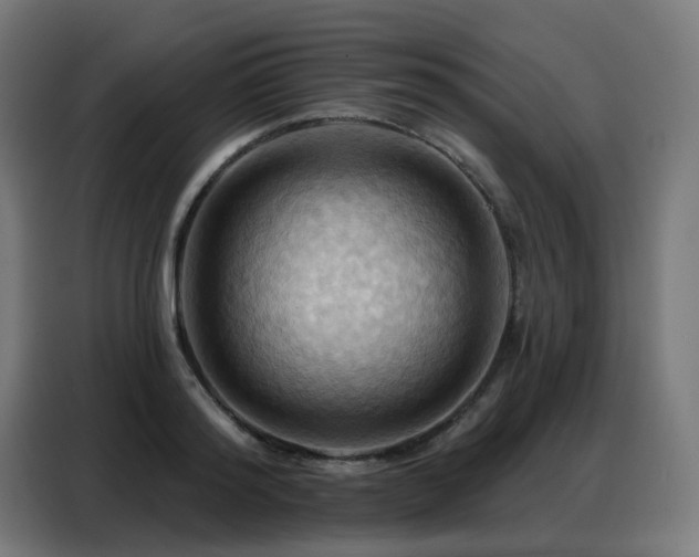 X0000088380796200705221052