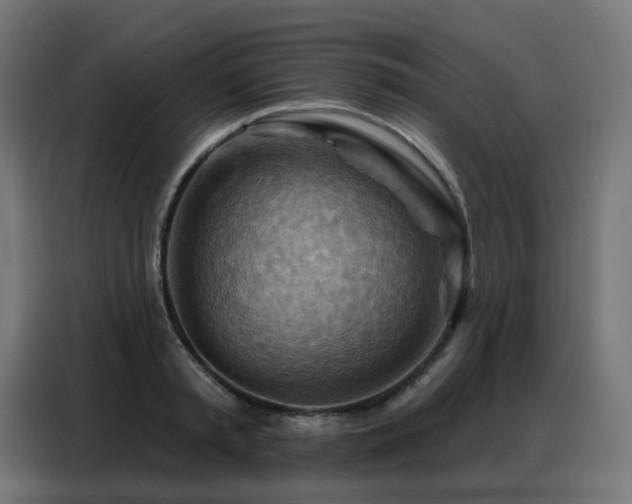X0000088380797200705221052