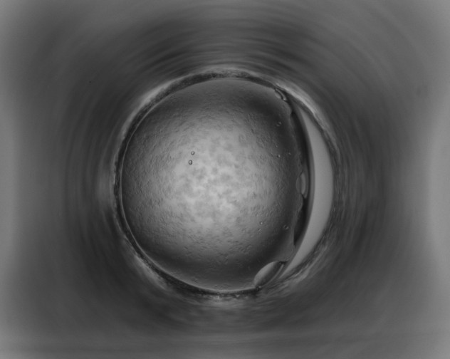 X0000088380799200705221052