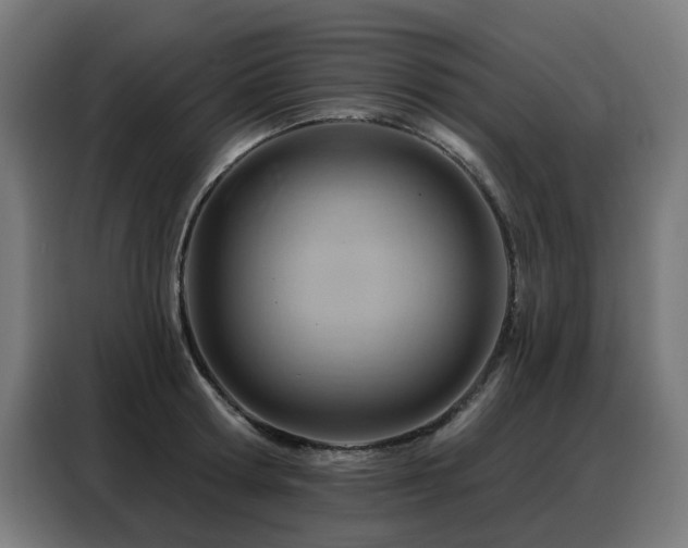 X0000088380802200705221052