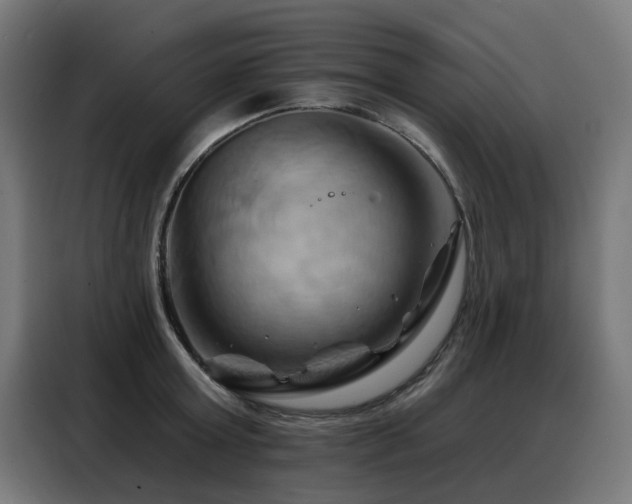 X0000088380803200705221052