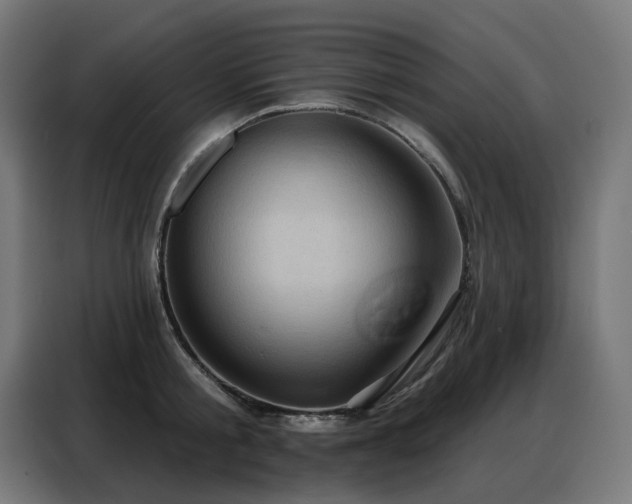 X0000088380805200705221052
