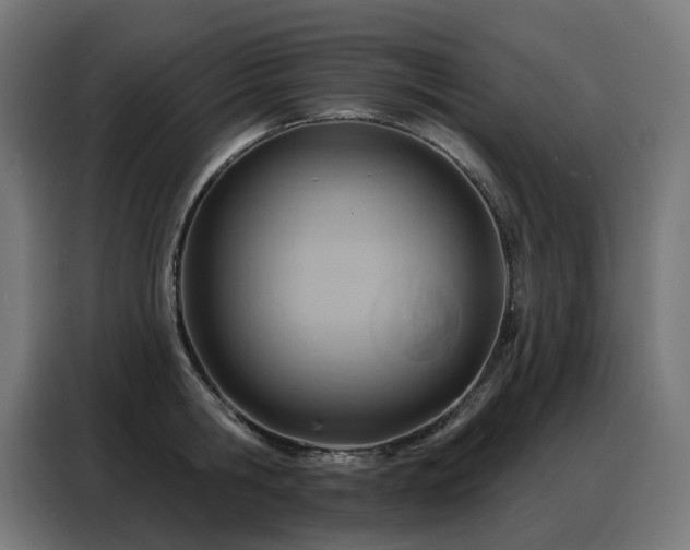 X0000088380806200705221052
