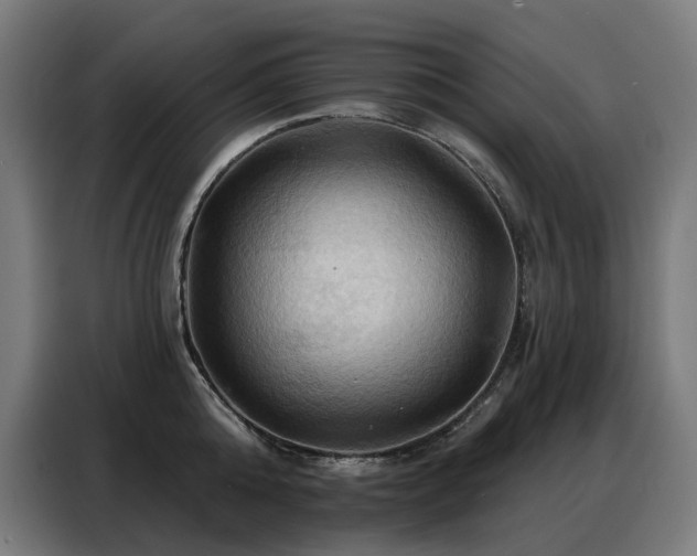 X0000088380808200705221052
