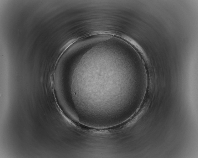 X0000088380809200705221052