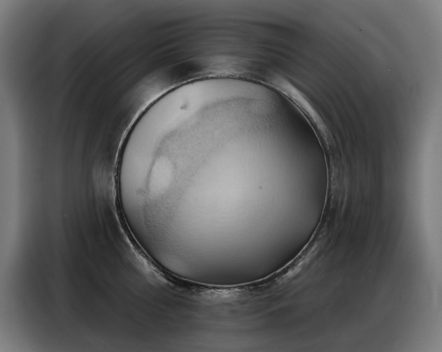 X0000088380810200705221052
