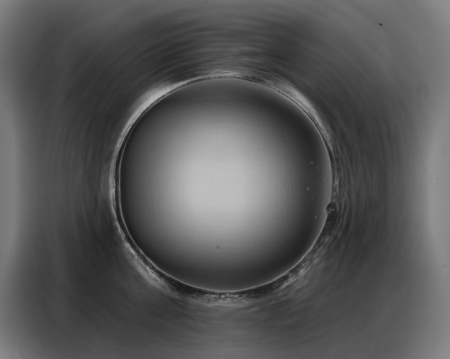 X0000088380811200705221052