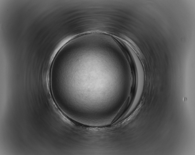 X0000088380812200705221052