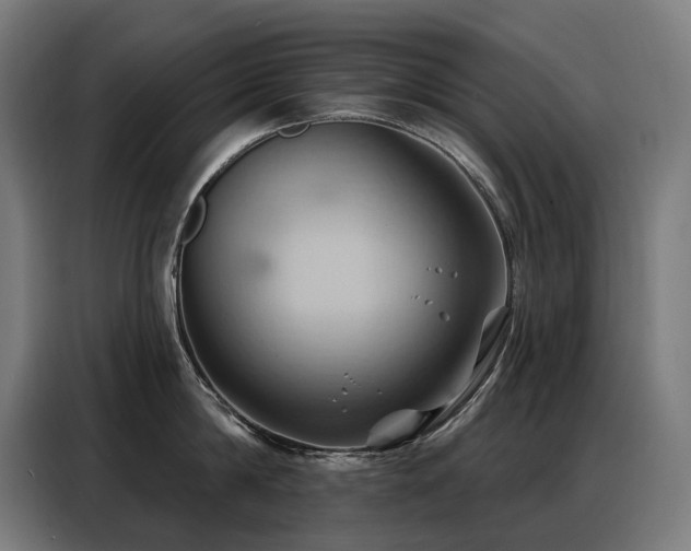 X0000088380814200705221052