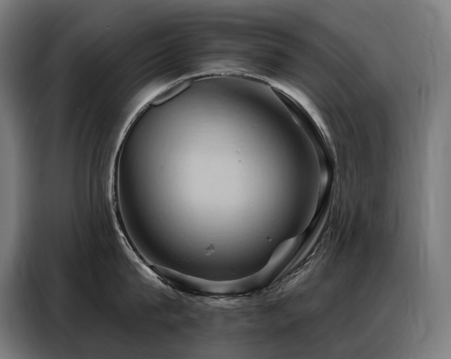X0000088380815200705221052