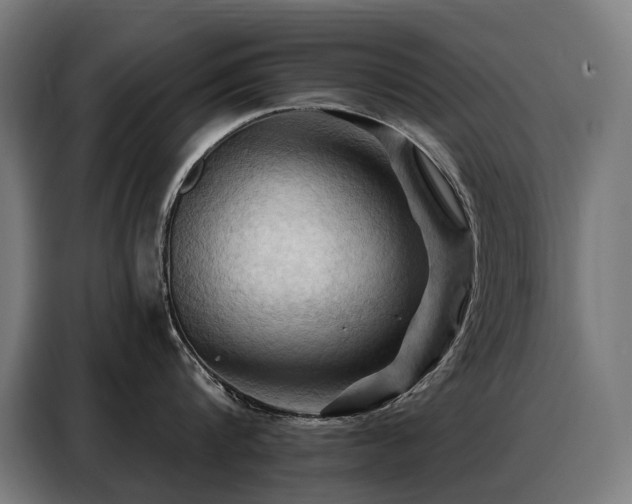 X0000088380816200705221052