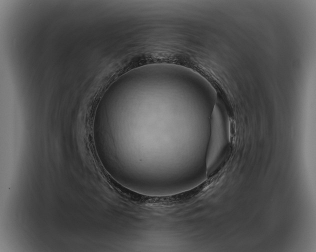 X0000088380817200705221051