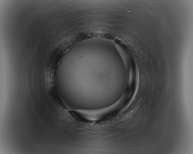 X0000088380818200705221051