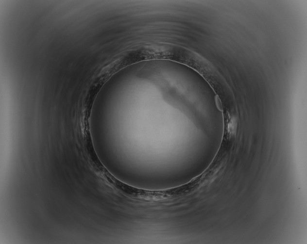 X0000088380819200705221051