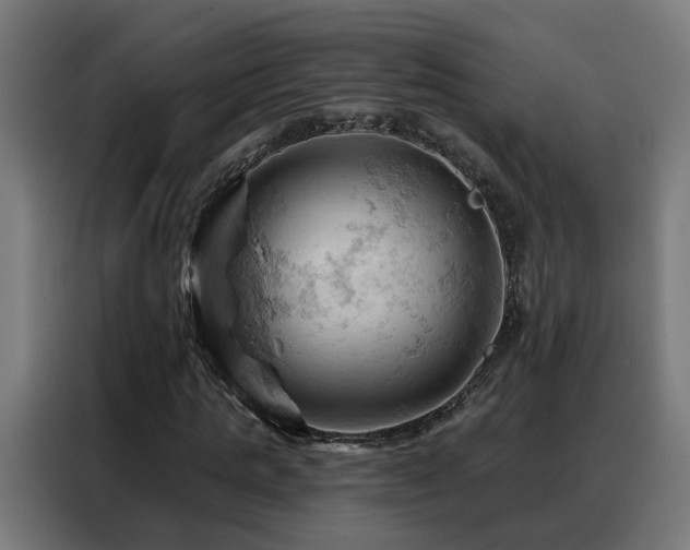 X0000088380821200705221051