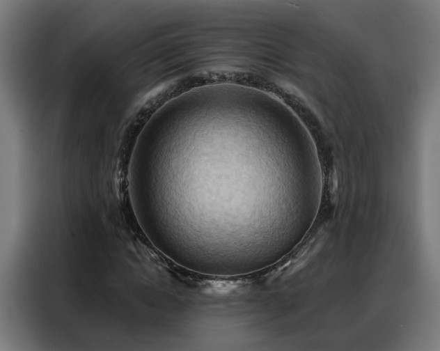 X0000088380822200705221051