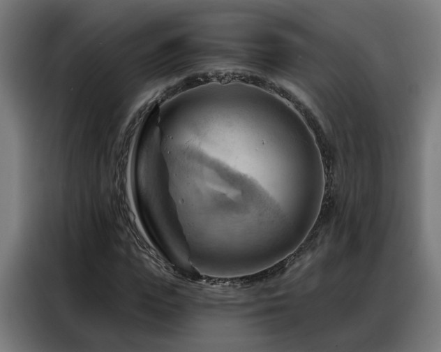 X0000088380823200705221051