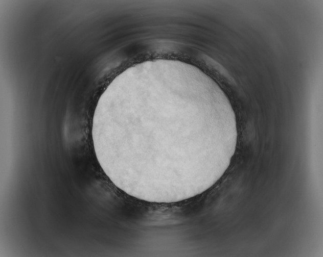 X0000088380824200705221051