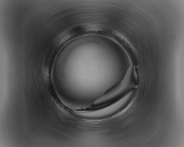 X0000088380825200705221051