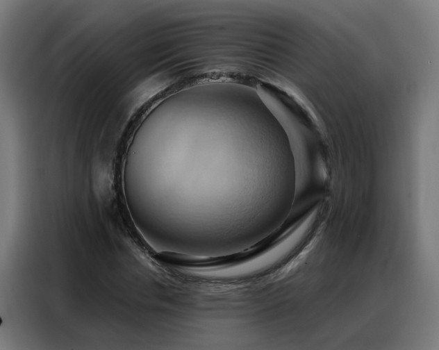 X0000088380826200705221051