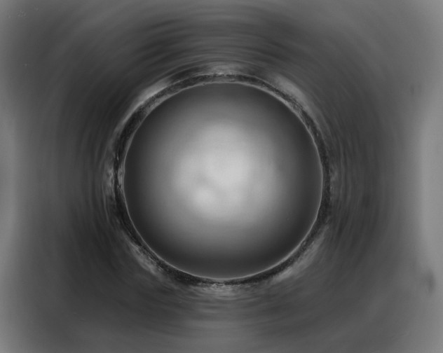 X0000088380827200705221052